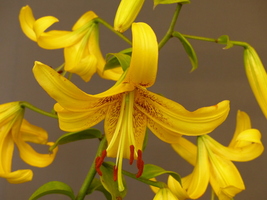 Foto: Dr. Peter Müller